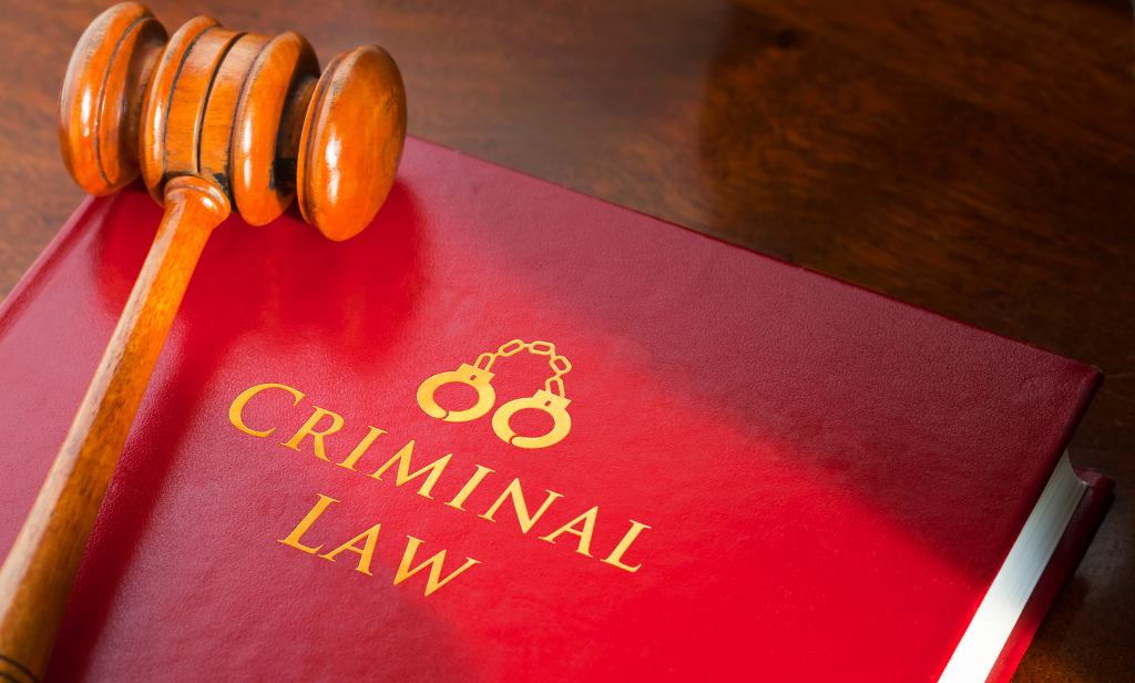 Best Criminal Lawyer in Laxmi Nagar "Delhi"